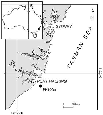 Phytoplankton Realized Niches Track Changing Oceanic Conditions at a Long-Term Coastal Station off Sydney Australia